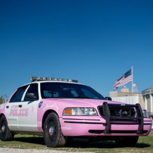 PinkPolice_Shift-0004